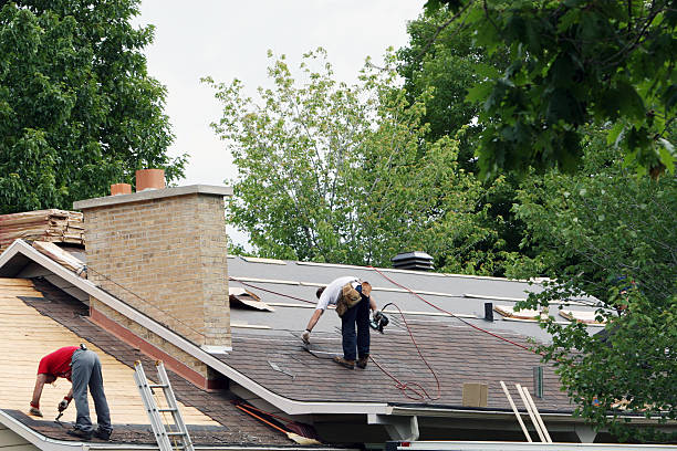 Best Flat Roof Repair Services  in Sumner, IL