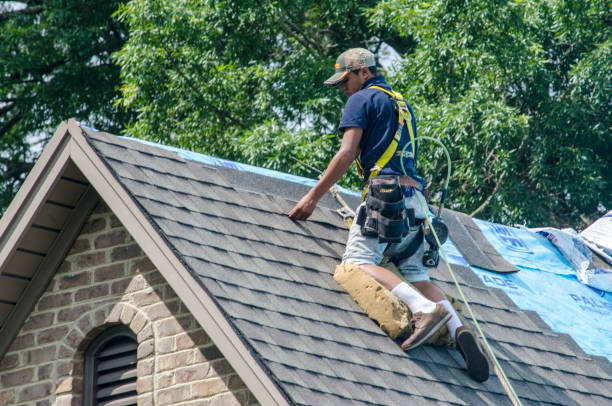 Quick and Trustworthy Emergency Roof Repair Services in Sumner, IL